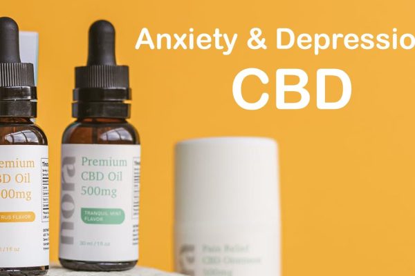 best cbd oil for anxiety in michigan