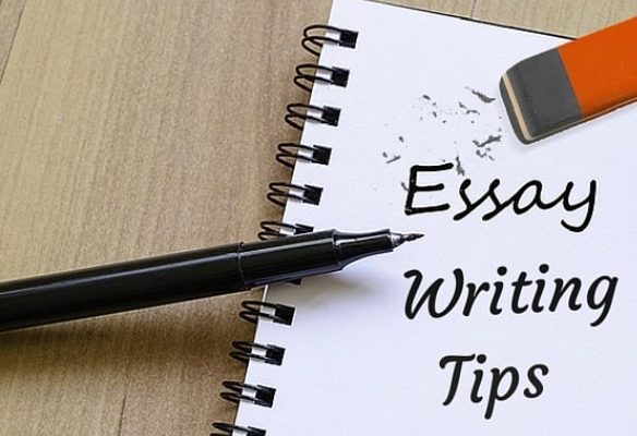 best guideline on writing amazing literary essays in 2024
