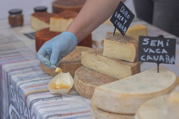 dairy market size, growth, trends, and future outlook