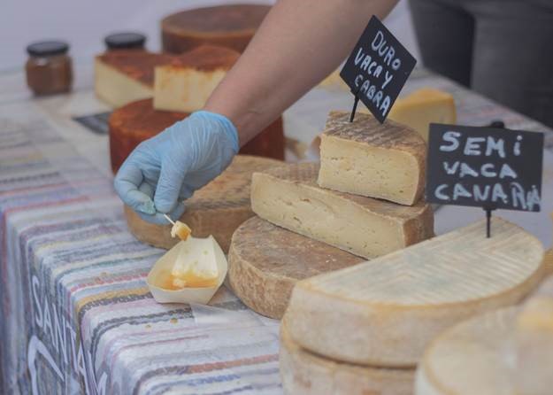 dairy market size, growth, trends, and future outlook